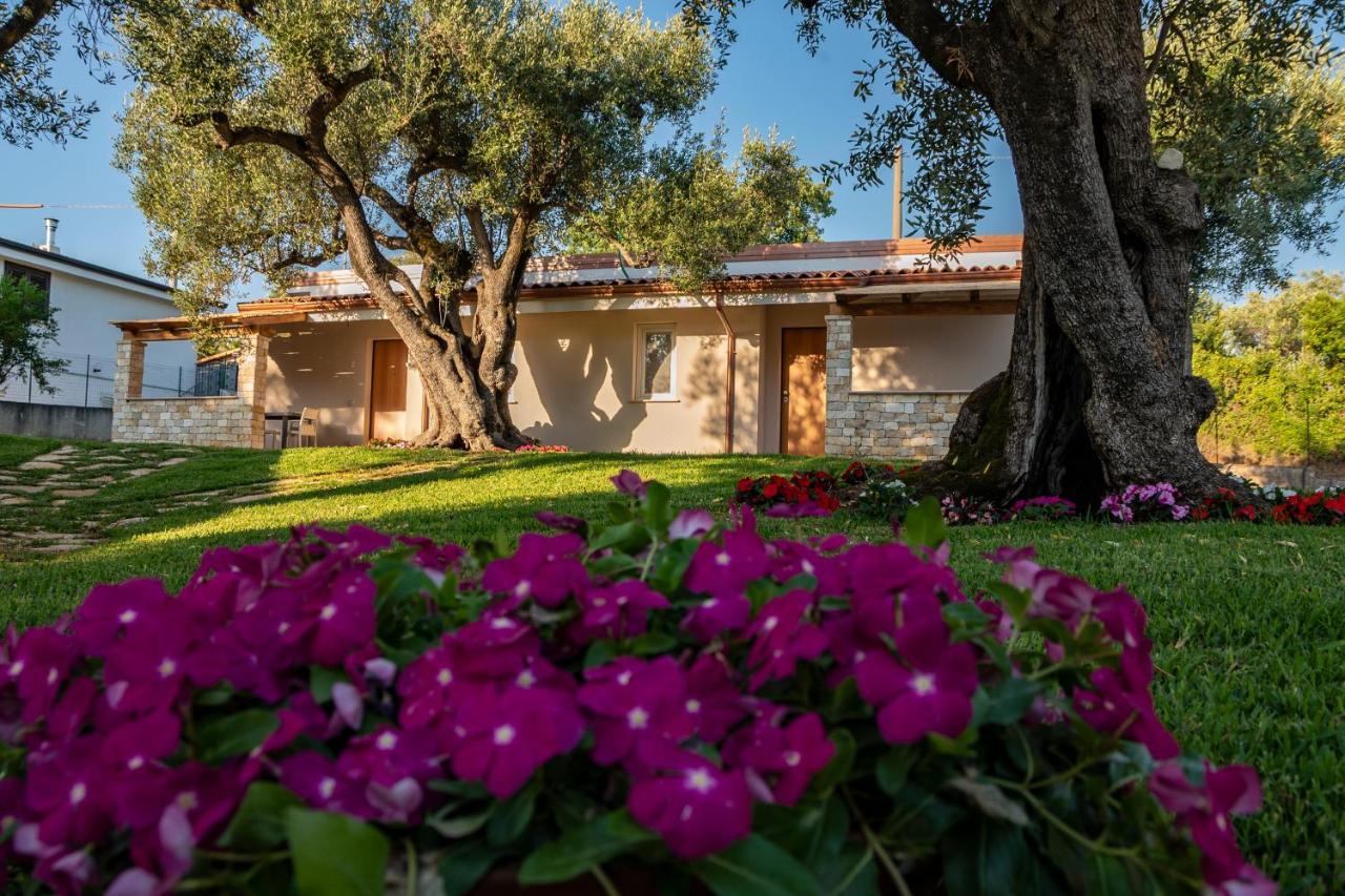 مارينا دي كاميروتا Il Mirto Residence المظهر الخارجي الصورة